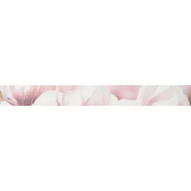 Rapsodia violet border 01 60x6.5 0