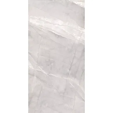 65404 Grigio Sat/Rett 60x120 0