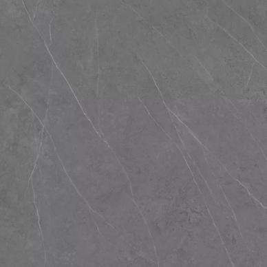 C221100601 Xlight Liem Grey Polished 120x120 0