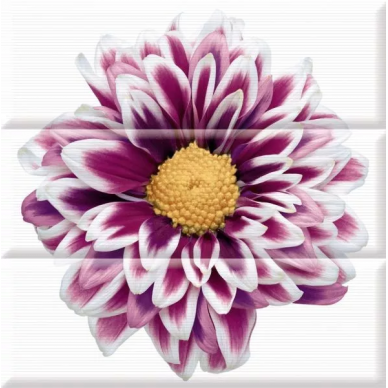 Composicion Flowers 45x45 (комплект 3шт) 0