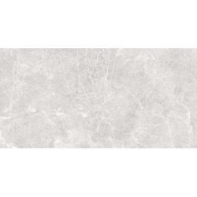 Runa Bianco светло-серый 60х120 0