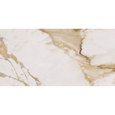 002231 Midas Rect. 60*120 0