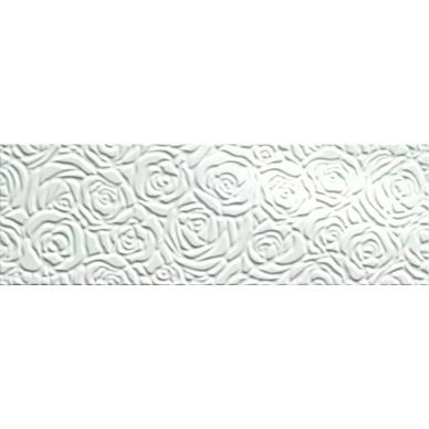 fKGO Rose Bianco 25*75 0