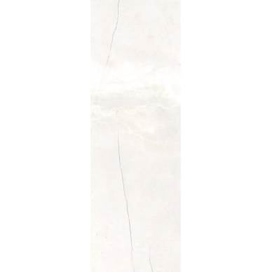 65433 Bianco Sat/Rett 20x60 0