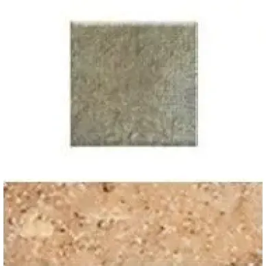 Bullnose Corallo 10x10 0