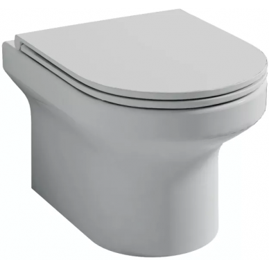 Инсталляция для подвесного унитаза Jacob Delafon Elite (E21742RU-00) в комплекте с унитазом 6