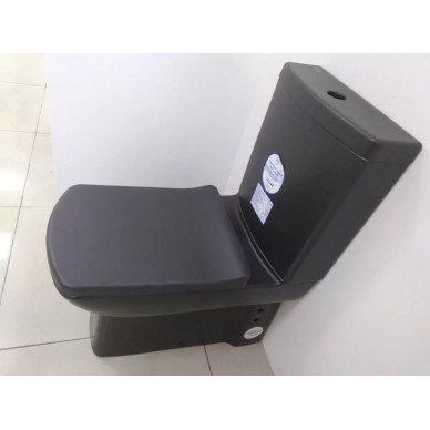 Чаша для напольного унитаза Creavit Lara (LR360-00SM00E-0000) с биде, черный матовый 5