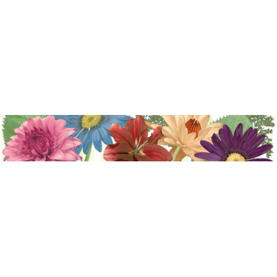 12427 FEMME C.FLORAL/R 5.5x32 0