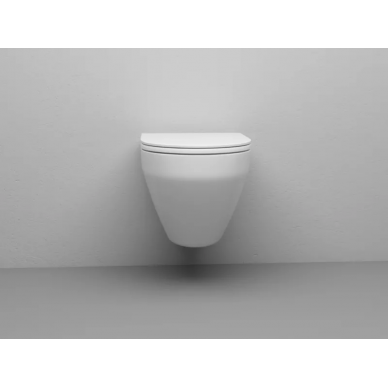 Чаша подвесного унитаза Am.Pm Spirit V2.0 FlashClean (C701700WH) 10