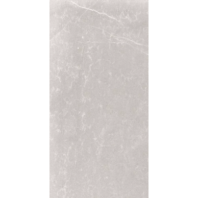 65282 Silver Nat Ret 60x120 0