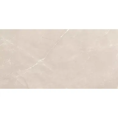 Vitrum Taupe полированный 60x120 0