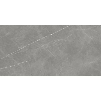 610010002710 Forte dei Marmi Elegant Grey Rett 80x160 0