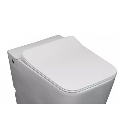 Крышка-сиденье Cerutti SPA Disgrazia (CT7849) микролифт 0