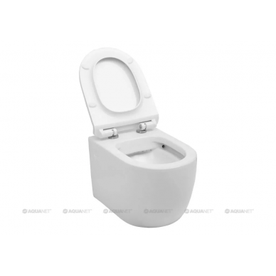 Чаша подвесного унитаза Aquanet Rimless Cetus-W (BL-102N-WHT) микролифт 5