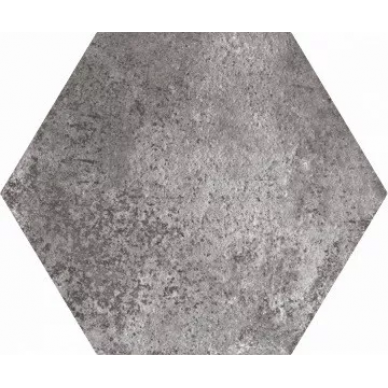Pompeia Gris 20х24 0