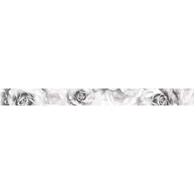 Listello Infinity Roses 5.5x60 0