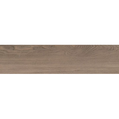 WR4T113 Rustic коричневый 21,8x89,8 0