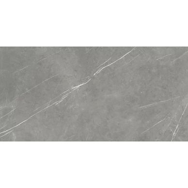 610015000665 Forte dei Marmi Elegant Grey Lapp 80x160 0
