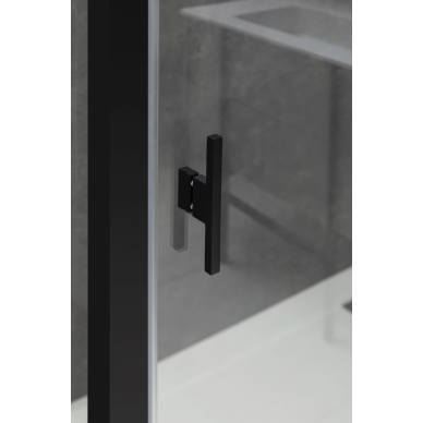 Душевая дверь Allen Brau Priority 120 (3.31033.BBA) черный браш 5