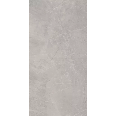 Bayona Silver Natural 120x240 0