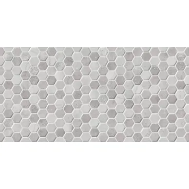 Termae Concept Grey 25x50 0