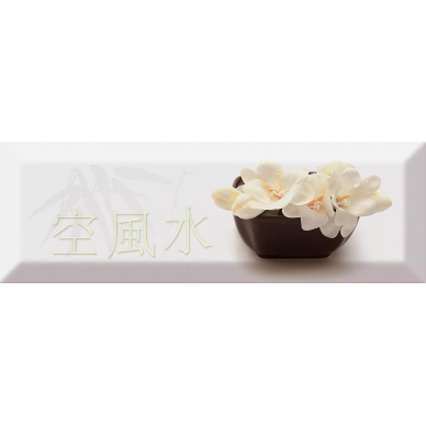 Decor Japan Tea 04 A 10X30 0