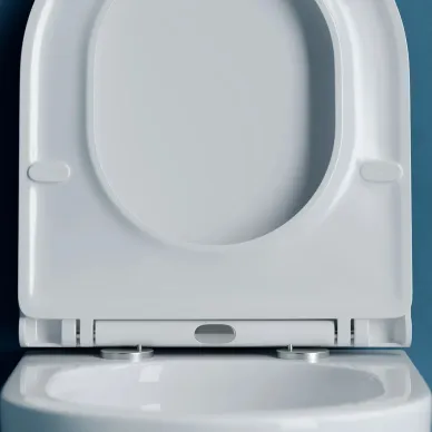 Унитаз подвесной Ceramicanova Vogue CN4008T безободковый, с сиденьем микролифт 6