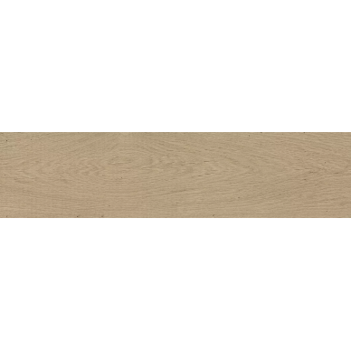 P11400661 Forest Arce 22x90 0