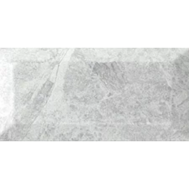 Forest Gris 10x20 0