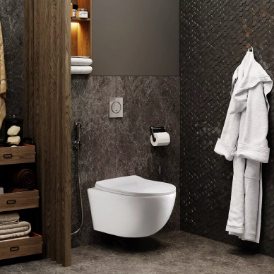 Чаша подвесного унитаза Cerutti SPA Orlter PP (CT9739) безободковый, микролифт ABS 6