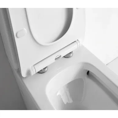 Унитаз напольный CeramaLux (TR2170-1) компакт, с микролифтом 5