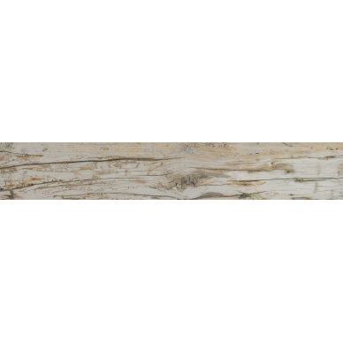 25645 UNIQUE/19,5X121,5/R 0