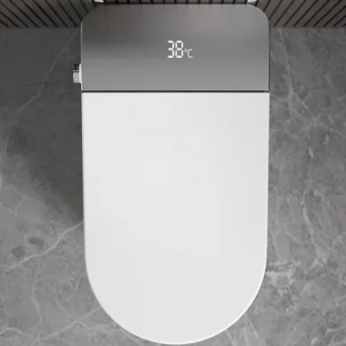 Напольный унитаз Cerutti SPA Ester Smart CT10617 с дистанционным управлением 1