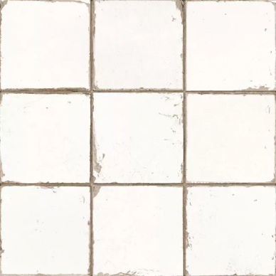 13621 FRANCISCO SEGARRA MANISES-B 33x33 0