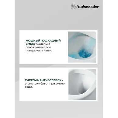 Чаша подвесного унитаза Ambassador Forsa 243K19003S ободковый, сиденье с микролифтом 5