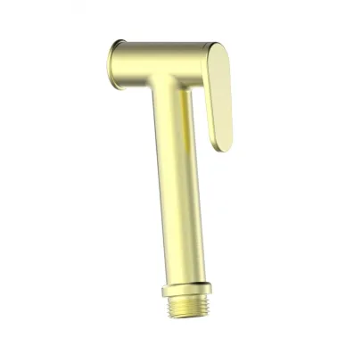 Лейка для гигиенического душа Wonzon & Woghand WW-88PQ01-BG брашированное золото 0