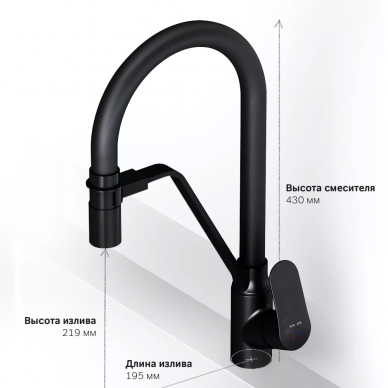 Смеситель для кухни AM.PM Like (F8007822) с каналом для питьевой воды, черный 6