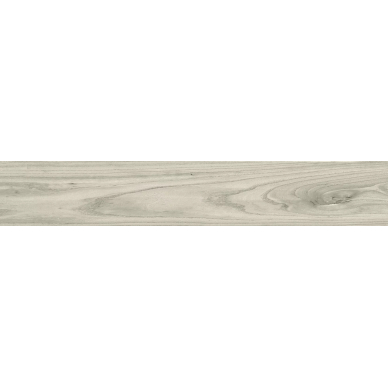 Spazio Ice Pulido R 20x120 0