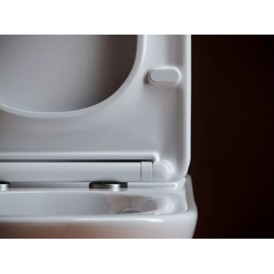Чаша напольного унитаза Ceramicanova Alfa Rimless (CN9002-B) с сиденьем микролифт 5