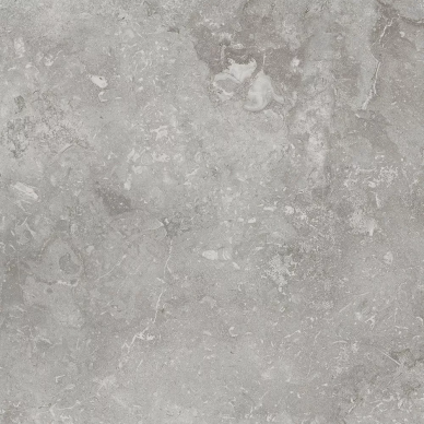 8CG4 BUXI GRIS 60x60 0