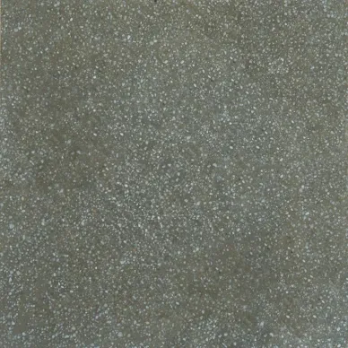 TERRAZZO Moss Natural 30x30 0