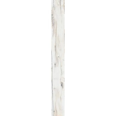 20033 Francisco Segarra Melvin White 7,4X67,5 0