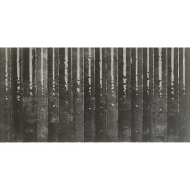 Etna Nero 15x30 0