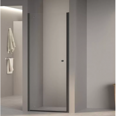 Душевая дверь RGW Dolphin TN-03B (90x195) профиль чёрный/стекло прозрачное 0