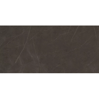 C229802691 Xlight Premium 120x250 Liem Dark Polished (6 мм) 0