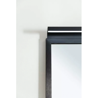 Зеркало Allen Brau Priority 120 (1.31018.BB) с подсветкой, черный браш 10