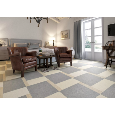 Carpet 5