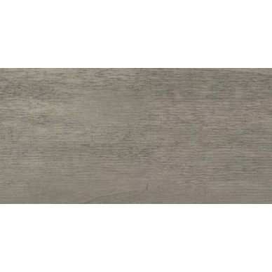 Monti beige PG 01 10x20 0
