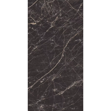Black Arkadia черный полированный 60х120 0