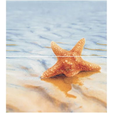 Dec Starfish 1 Panno (панно из 2шт) 50х45 0
